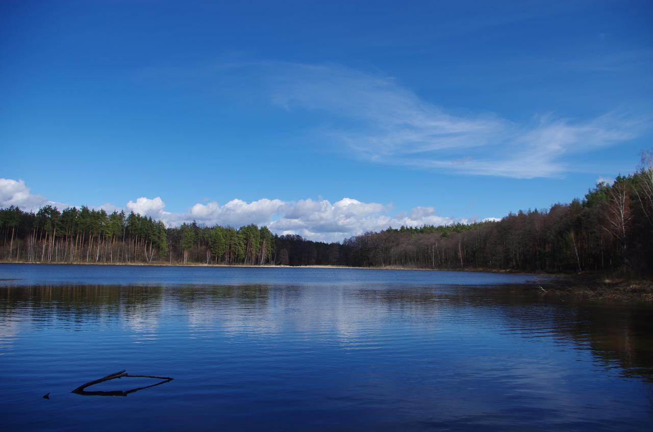 Charivne Ozero Hotell Korostyshiv Exteriör bild